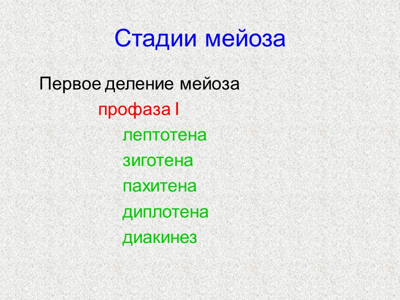 Стадии мейоза    Первое деление мейоза      